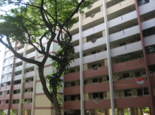 ang-mo-kio-avenue-8 photo thumbnail #5